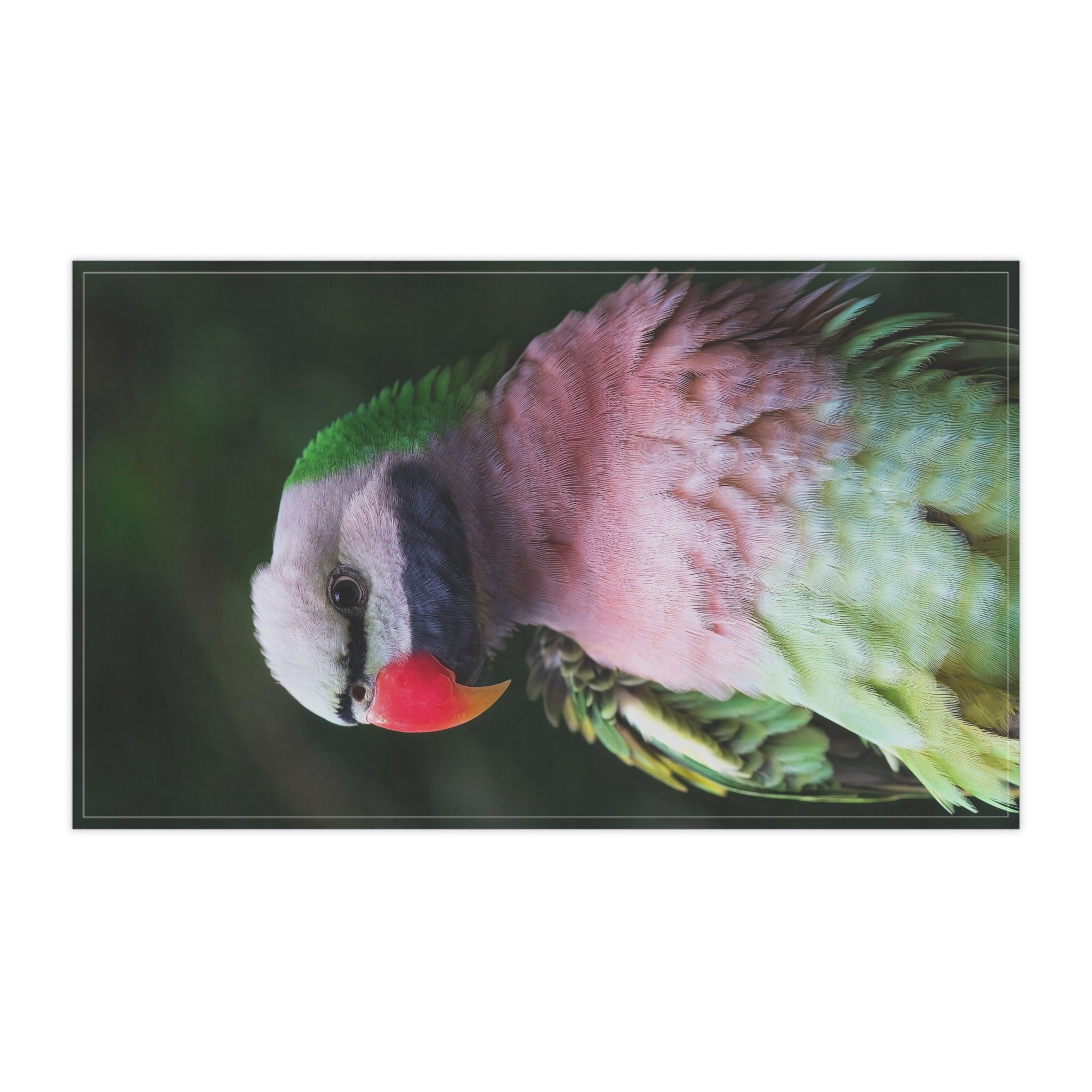 Parrot Kitchen Tea Towel — Pink Green Lorikeet Print Cotton Dish Towel
